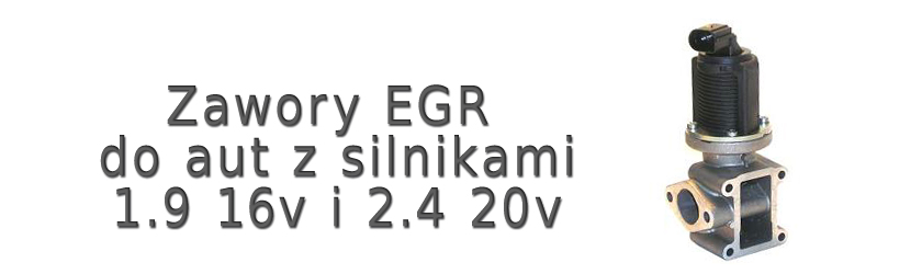 egr - silniki 1.9 16v i 2.4 20v